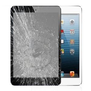 iPad Mini Glass Screen and LCD Repair Service