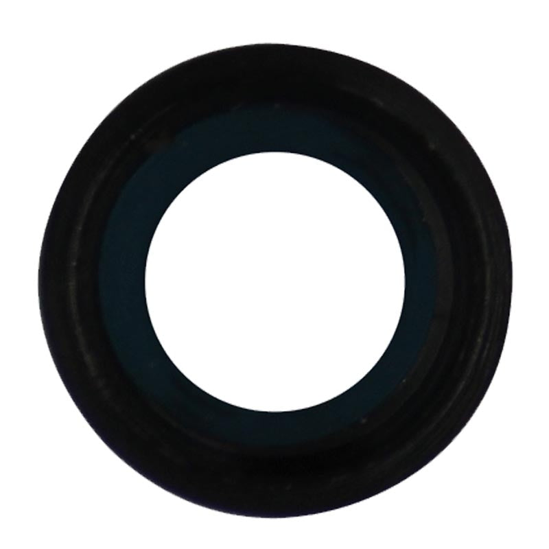 Rear Camera Lens for iPad Pro 9.7 (Black)