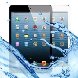 iPad Mini 3 Water Damage Repair Service