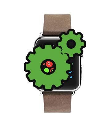 Apple Watch Diagnostic Service