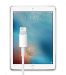 9.7-inch iPad Pro Lightning Port Repair