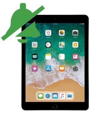 9.7-inch iPad 2018 Vibrate Switch Repair