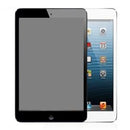 iPad Mini LCD Repair