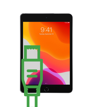 7.9-inch iPad Mini 5 (2019) Charging Port Repair