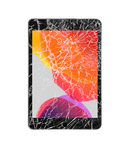 7.9-inch iPad Mini 5 (2019) Glass Repair