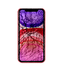 iPhone 11 Glass Repair