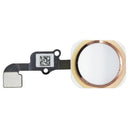 Home Button Flex for iPhone 6S / 6S Plus (Gold)
